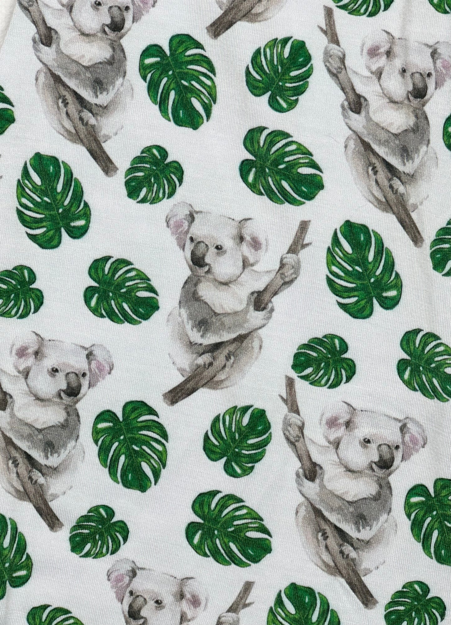 Koala Zippy